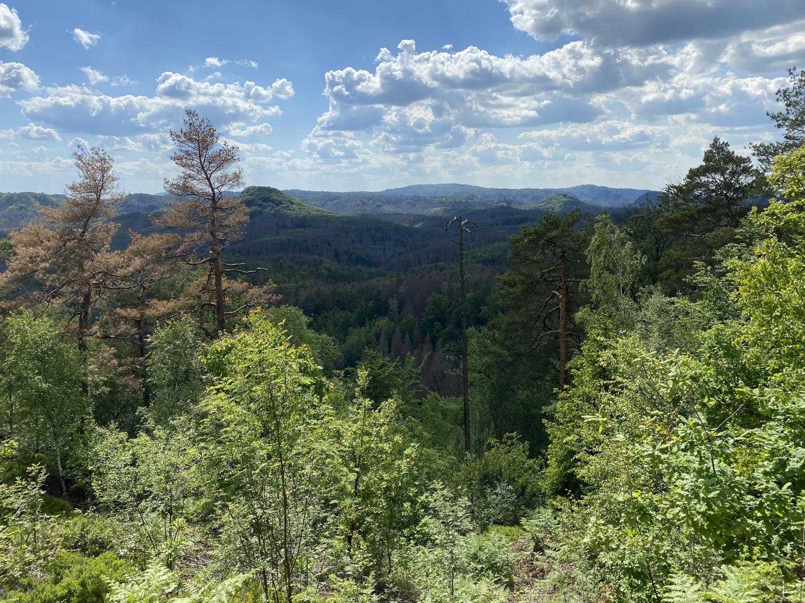 Malerische Natur im Zittauer Gebirge
